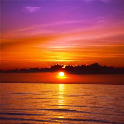 真人斗牛牛最新版