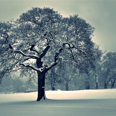 pg娱乐电子游戏下载手机版