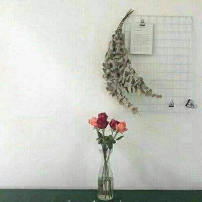 金沙乐娱场app下载